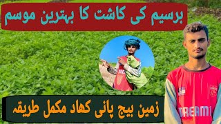 Barseem ki Kasht in Pakistan  Sowing Time of Berseem  Best Time Barsem cultivation  برسیم کی کاشت [upl. by Adrahs618]