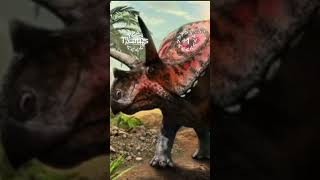 Utahceratops vs Torosaurus Mapusaurusroseae [upl. by Blinnie]