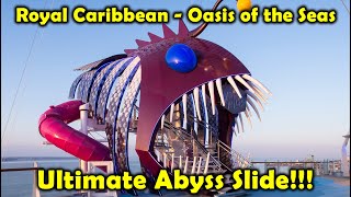 Royal Caribbean Oasis of the Seas  Ultimate Abyss Slide [upl. by Minardi]