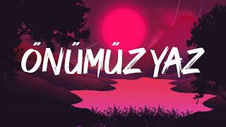 Simge  Önümüz Yaz Lyrics [upl. by Benioff]