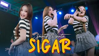 SIGAR  SHINTA ARSINTA Official Music Live Kesan indah pertama kau datang seolah cinta [upl. by Neom431]