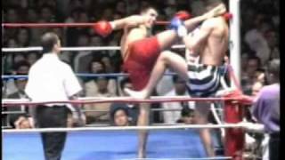 Peter Aerts Greatest Knockouts [upl. by Selinski]