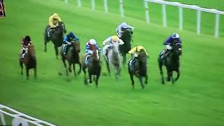 Newbury Racing 🏁 🏎 at 310lm today what a finish [upl. by Nehr]