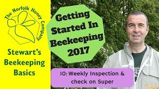 Weekly Inspection of Beginner Beehive and Checking Super for Nectar Flow [upl. by Ila648]