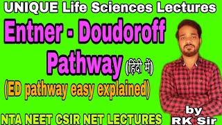 Entner Doudoroff Pathway  ED Pathway in hindi  Glycolysis  NTA NEET CSIR NET LIFE SCIENCE LECTURE [upl. by Lraep]