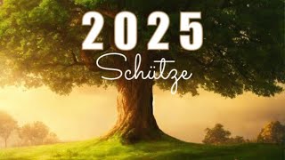 SCHÜTZE 2025🔮Große Jahresvorschau [upl. by Nifares]