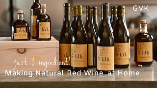 How to Make Natural Red Wine at Home [upl. by Canica621]