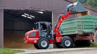 Weidemann – Radlader 4080LP Getreide laden [upl. by Philpot]