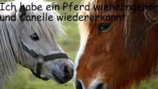 Pferdequälerei Die Geschichte von Ange [upl. by Nosnehpets]