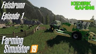 Farming Simulator 19  Felsbrunn Episode 1  Lets Play Animals [upl. by Atinaw]