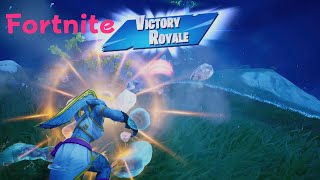 Fortnite Victory Crown WIN [upl. by Harding60]