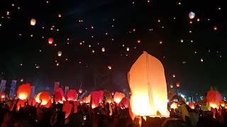 DCF  Dieng culture festival Pesta lampion [upl. by Carmena452]