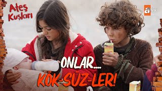 Bir Umudun Peşinde KÖKSÜZLER  Ateş Kuşları Kolaj [upl. by Rickey]