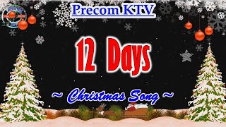 Christmas Karaoke Song  12 Days [upl. by Nhguavoj]