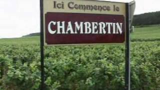 Gevrey Chambertin view with Wine amp Voyages [upl. by Idroj]