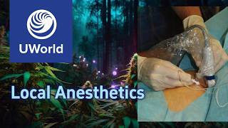 Local anesthetics  typesmechanismside effects  pharmacology USMLE Step 1 UWorld Questions MBBS [upl. by Ozne]