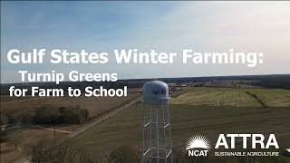 Gulf States Winter Farming Turnip Greens for Farm to School [upl. by Anialahs]