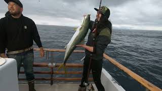 Fishing Coronado Islands On the Daiwa Pacific June 10 2023 [upl. by Lebaron717]