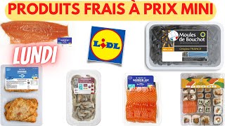 💥 ARRIVAGE LIDL💥 PRODUITS FRAIS À PRIX MINI  2 septembre 2024  14 OFFRES  FRANCE [upl. by Way266]