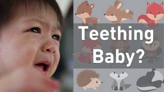 Do Teething Babies Need Medicine on Their Gums No [upl. by Emmet71]