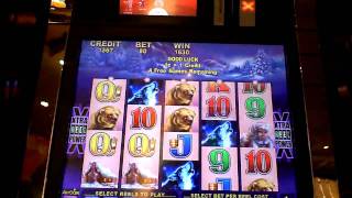 Timber Wolf slot machine bonus win at Parx casino [upl. by Obnukotalo]