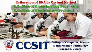 BScSem3 Biotehnology Practical 4A amp Biochemistry Practical 8  Estimation of RNA by Orcinol [upl. by Allenrad]