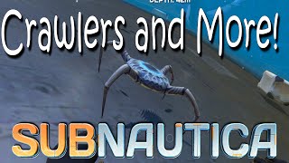 Subnautica  Cyclops Hull Reinforcement Radiation and Cave Crawler Update [upl. by Sirraj]