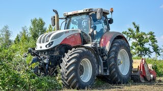 STEYR TERRUS 6270 CVT  Seppi M Starsoil  Fresatura terreno  MORETTO [upl. by Athena]