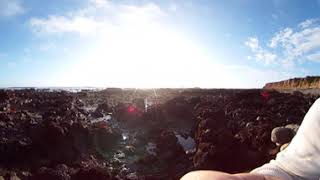 Owl Limpet Surveys Rancho Marino a [upl. by Branca]