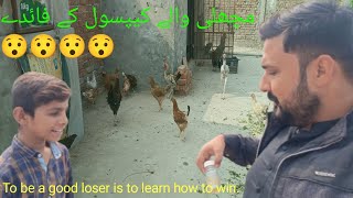 machli wala capsule ke fayde  Vitamin AampD is very helpful in poultry needs shehrmaindihat [upl. by Izzy]