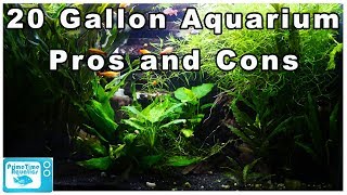 20 Gallon Aquarium Pros and Cons A Closer Look [upl. by Giliane838]