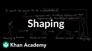 Operant conditioning Shaping  Behavior  MCAT  Khan Academy [upl. by Nahum]