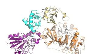 3D image of enzymes [upl. by Childs]