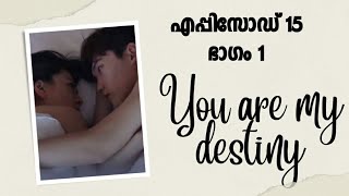 You are my destiny malayalam explanation  ep 15 [upl. by Aliemaj]