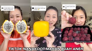 MELON BENTUKNYA KOTAK  TIKTOK NANAKOOT MAKAN BUAH UNIK amp ANEH [upl. by Anidnamra397]