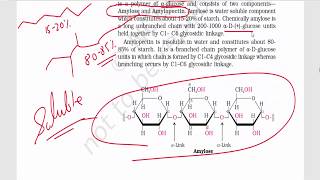 Biomolecules Part 3  Disaccharides amp Polysaccharides  Sucrose Maltose Lactose Starch [upl. by Linders439]