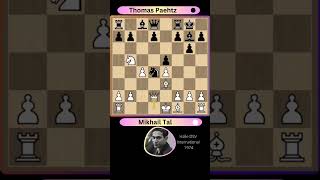 Mikhail Tal  Best Games Ever 29 👌 [upl. by Alexia]