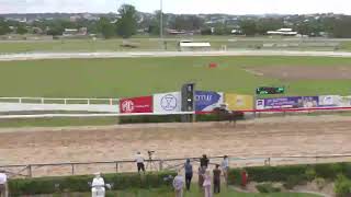 Gympie 25112023 Race 5 [upl. by Anaiad]