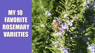 Making a Fresh Rosemary Wreath  Noreens Garden [upl. by Esydnac]