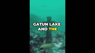 THE Gatun Lake 🌊🌴quot shots youtubeshorts subscribe gatunlake facts important [upl. by Ardnaik]