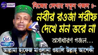 নতুন গজল  নবীর রওজা শরীফ দেখে মন ভরে না  অলি উল্লাহ আশেকী  Music Plus Waz [upl. by Nyroc116]