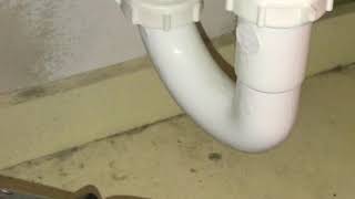 SMELL SEWER GAS don’t call a plumber EASY FIX [upl. by Aileda]