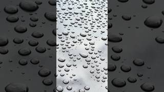 Ceramic Coating Water Beading hybridsolutions ceramiccoating waterbeads detailing diy pajero [upl. by Paynter]