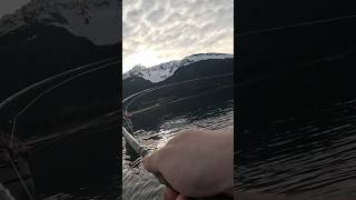 Seward Alaska snag fishing for sockeye salmon don’t forget to bring a net fishalaska fishing fish [upl. by Nosirb]