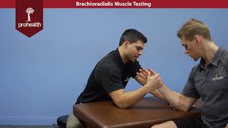 Brachioradialis Muscle Test Palpation Dr Vizniak Muscle Manual [upl. by Bergman817]