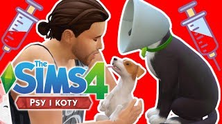 THE SIMS 4 PSY I KOTY 🐱 OPERACJA [upl. by Ojeibbob]