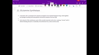 Examine the ActiveModel for glutamine synthetase and describe the formation of the GS dodecamer [upl. by Nicholas]