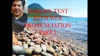 MARLINS TEST REVIEWER FOR SEAFARERS [upl. by Eelyma930]