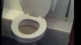 Unblock A Toilet the Irish Way [upl. by Koralie]