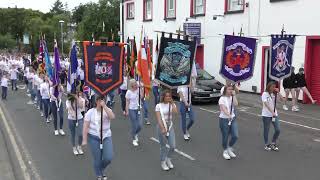 11th Night Massed Band Limavady 2024 6 [upl. by Ennaillek428]